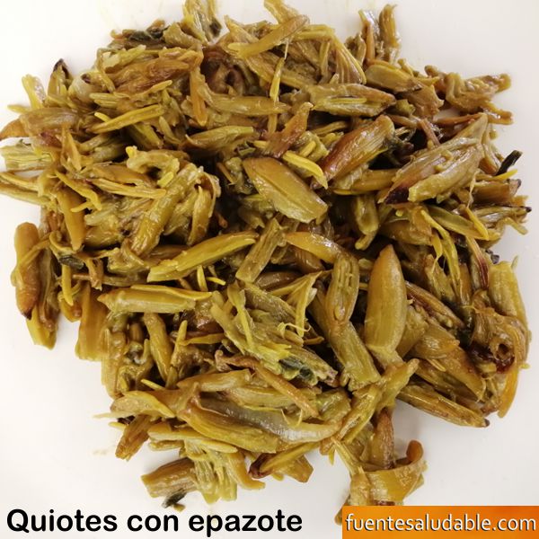 Es bueno comer quiotes de maguey