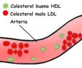 ¿Es malo tener bajo el colesterol bueno?