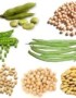 Importancia del consumo de legumbres en nuestra nutrición