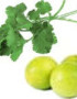El cilantro es usado para aliviar la acidez