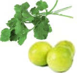 El cilantro es usado para aliviar la acidez