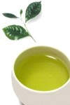 Como actúa el té verde en el organismo