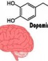 ¿Qué pasa cuando la dopamina esta baja?