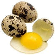 ¿Es malo comer mucho huevo de codorniz?