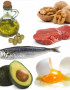 ¿Qué alimentos lípidos son considerados buenos para el organismo humano?