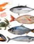 Lista de pescados y mariscos por temporada