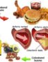 ¿Cuáles son las dos clases de colesterol que hay?