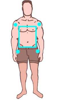 Como saber el tipo de cuerpo