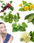 Hierbas curativas y plantas para no sufrir problemas en la piel