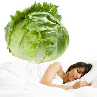 Beneficios de la lechuga para dormir y su sustancia para poder dormir