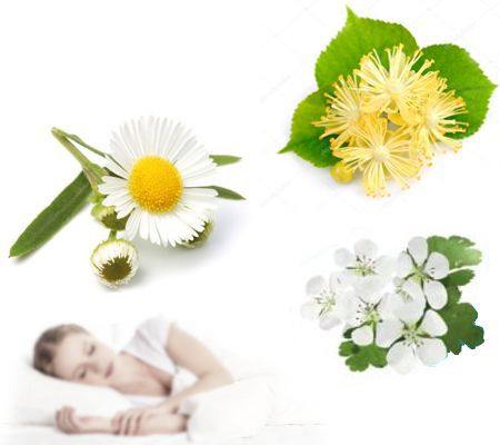 Beneficios de tomar té de manzanilla, espino albar y flor de tila antes de dormir